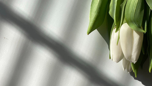 Your Inner Spring: Understanding The Follicular Phase