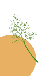 Caraway